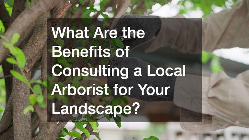 What Are the Benefits of Consulting a Local Arborist for Your Landscape?