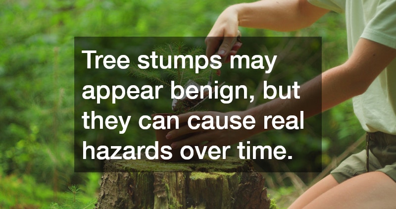 Tree stumps may appear benign, but they can cause real hazards over time.