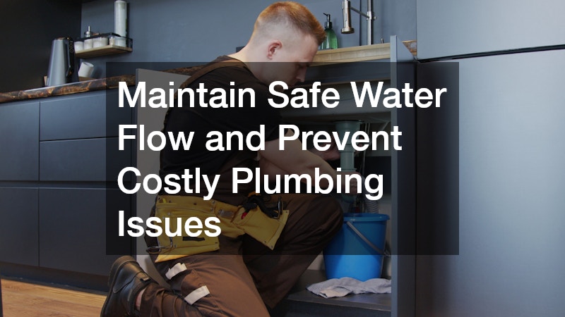 Maintain Safe Water Flow and Prevent Costly Plumbing Issues