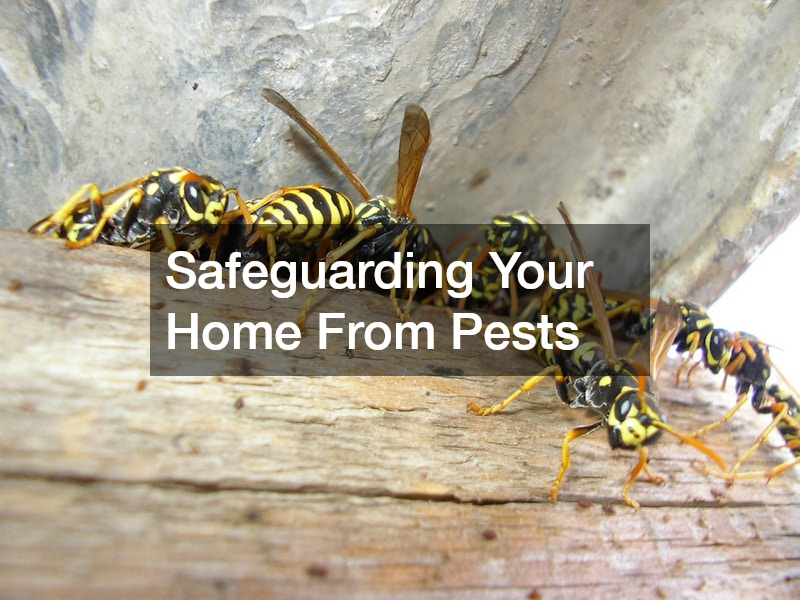 Safeguarding Your Home From Pests