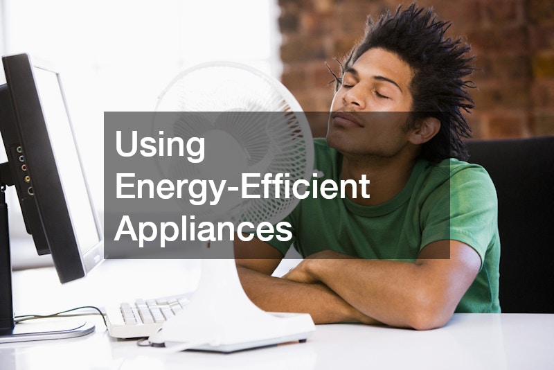 Using Energy-Efficient Appliances