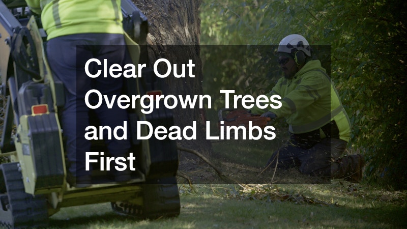 Clear Out Overgrown Trees and Dead Limbs First