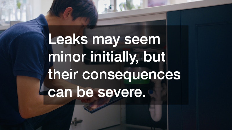 Leaks may seem minor initially, but their consequences can be severe.