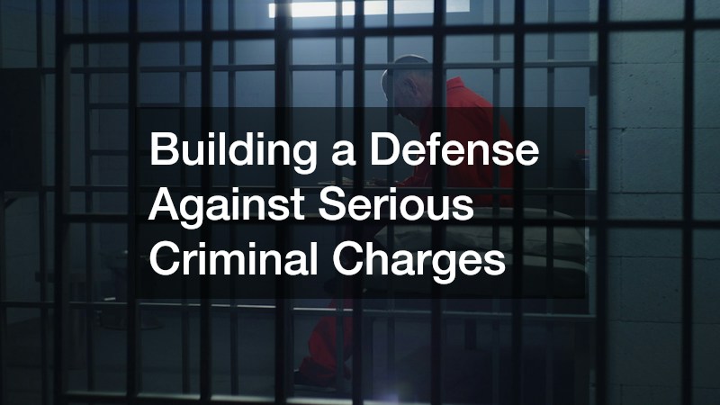 Building a Defense Against Serious Criminal Charges