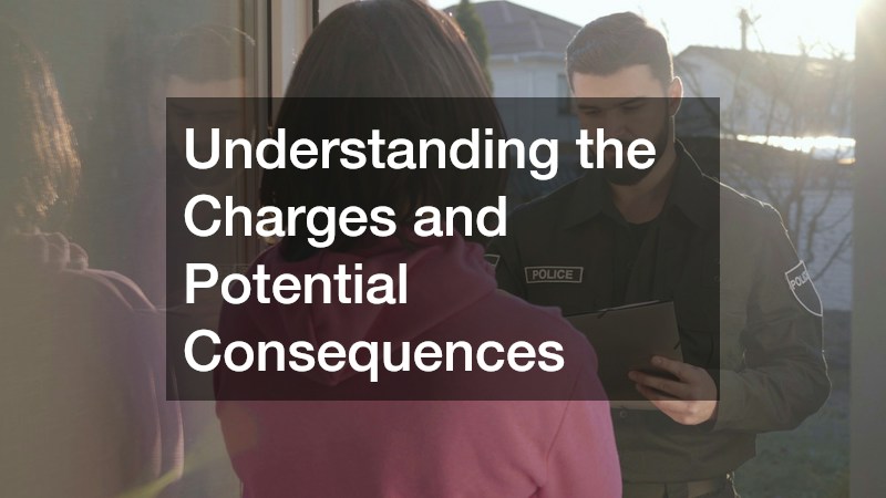 Understanding the Charges and Potential Consequences