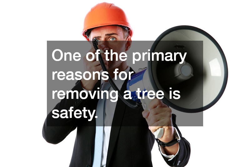 One of the primary reasons for removing a tree is safety.