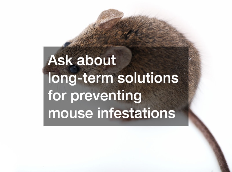 Ask about long-term solutions for preventing mouse infestations