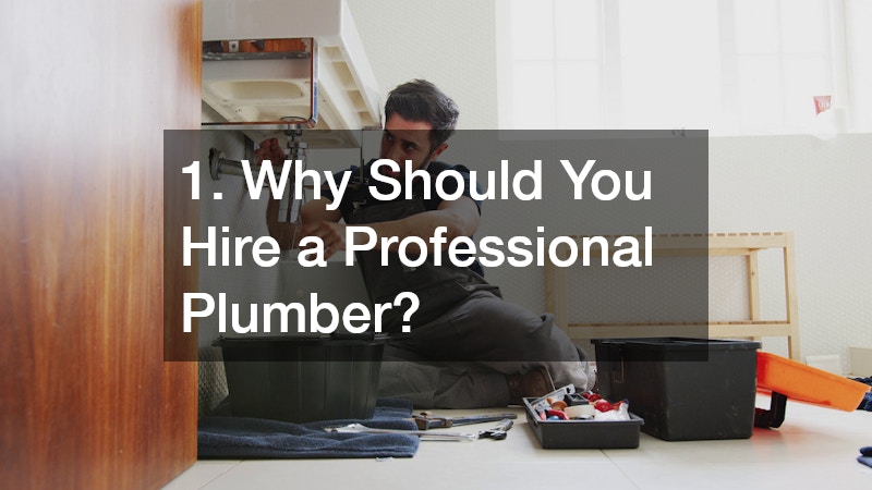 1. Why Should You Hire a Professional Plumber?