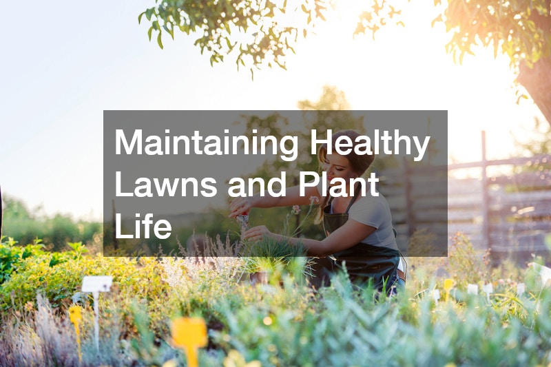 Maintaining Healthy Lawns and Plant Life