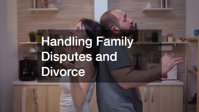 Handling Family Disputes and Divorce