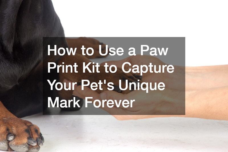 How to Use a Paw Print Kit to Capture Your Pet’s Unique Mark Forever
