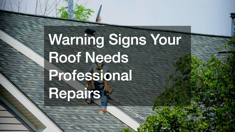 Warning Signs Your Roof Needs Professional Repairs