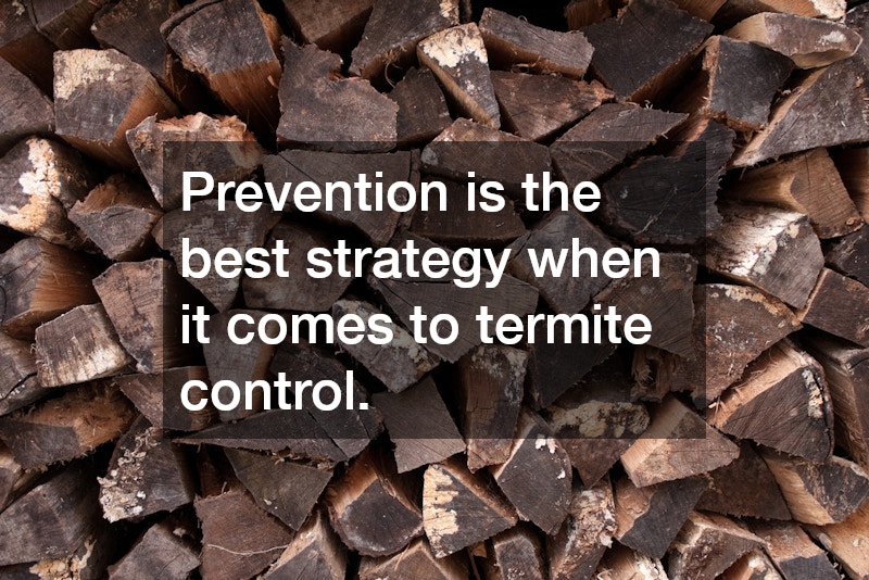 Prevention is the best strategy when it comes to termite control.