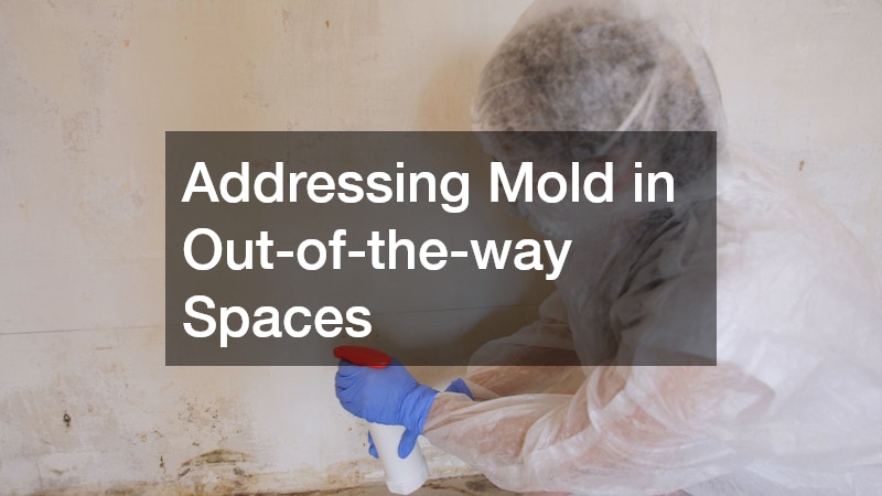 Addressing Mold in Out-of-the-way Spaces