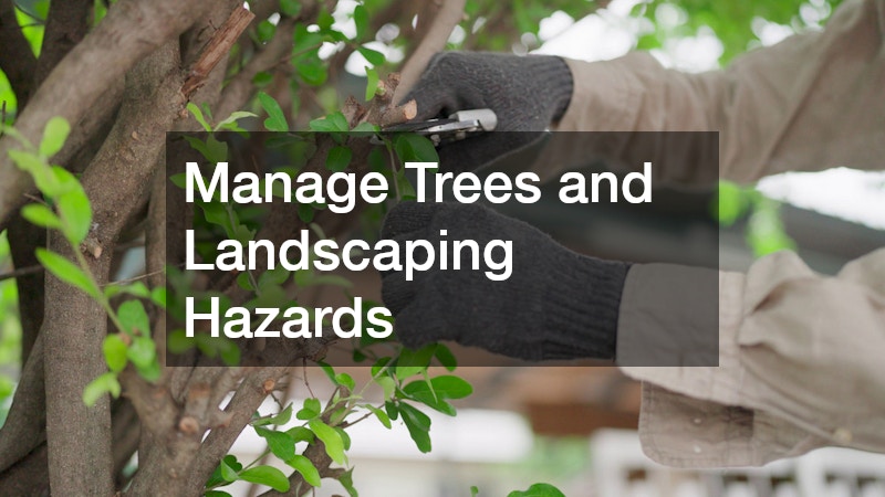 Manage Trees and Landscaping Hazards