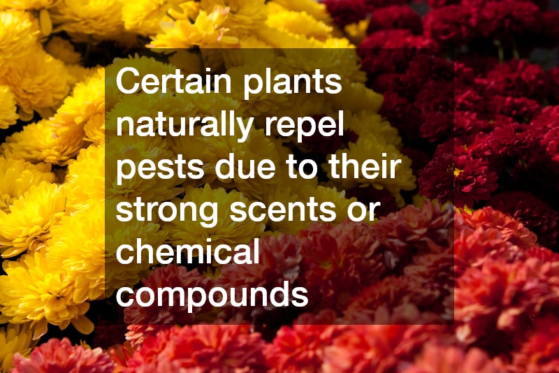 Certain plants naturally repel pests due to their strong scents or chemical compounds