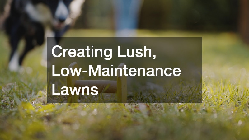 Creating Lush, Low-Maintenance Lawns