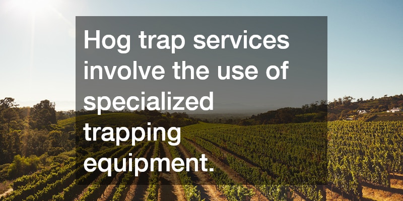 Hog trap services involve the use of specialized trapping equipment.