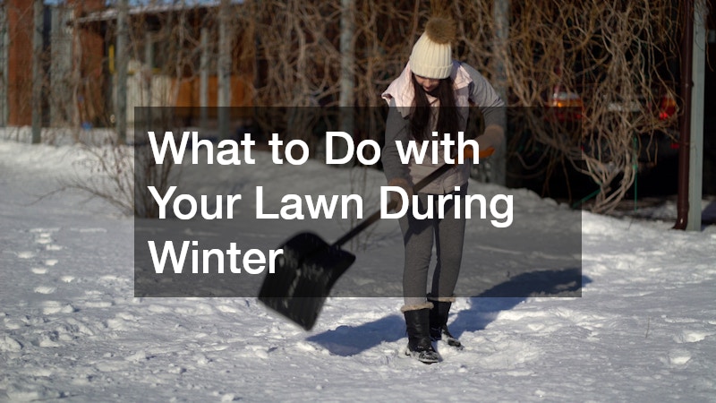 What to Do with Your Lawn During Winter