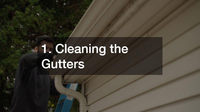 1. Cleaning the Gutters