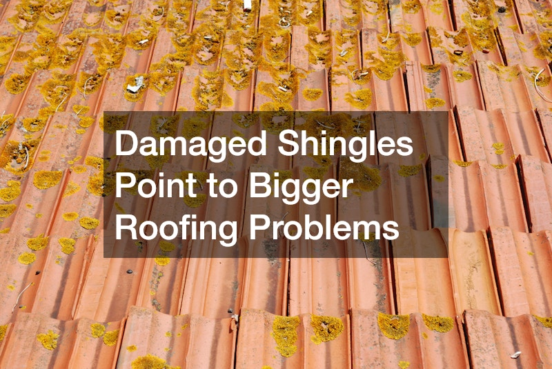 Damaged Shingles Point to Bigger Roofing Problems