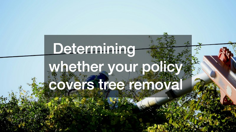 Determining whether your policy covers tree removal