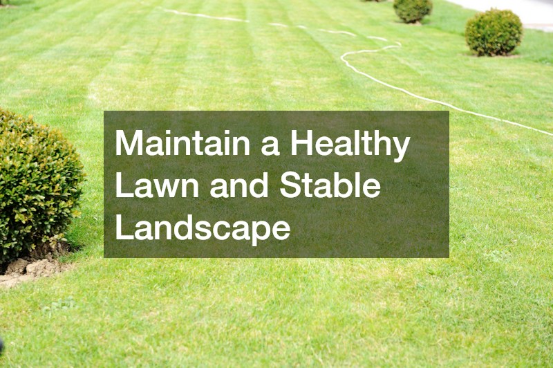 Maintain a Healthy Lawn and Stable Landscape