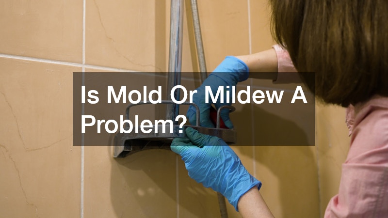 Is Mold Or Mildew A Problem?
