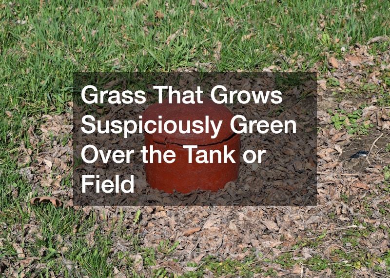 Grass That Grows Suspiciously Green Over the Tank or Field