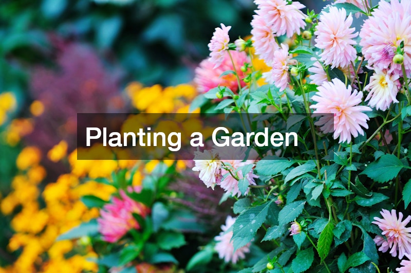 Planting a Garden