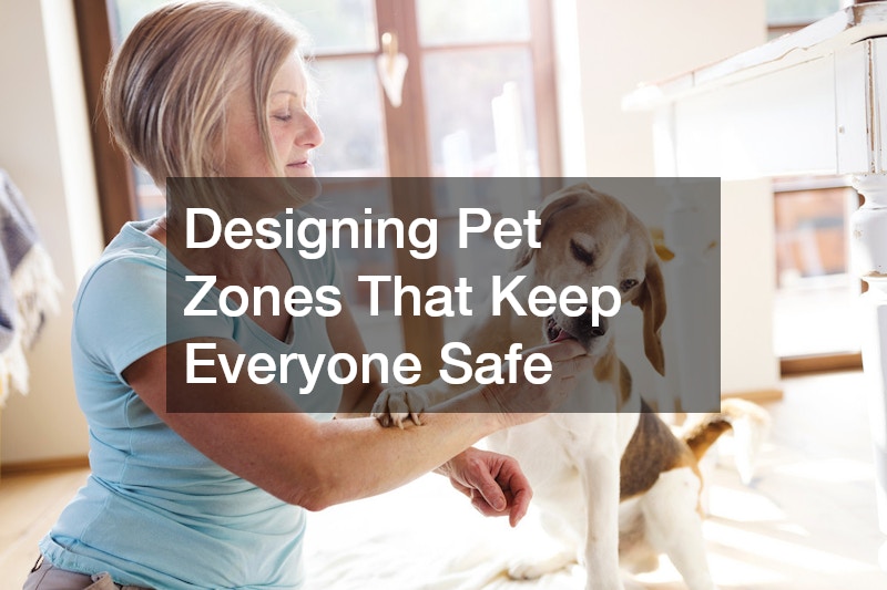 Designing Pet Zones That Keep Everyone Safe