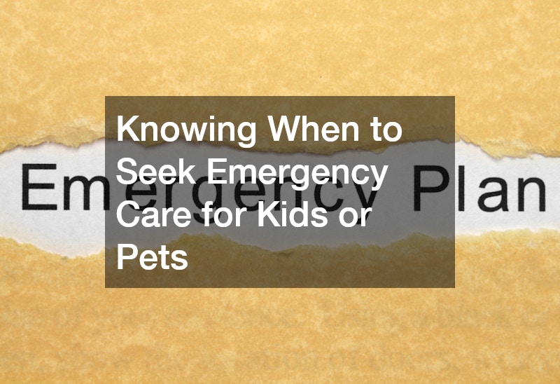 Knowing When to Seek Emergency Care for Kids or Pets