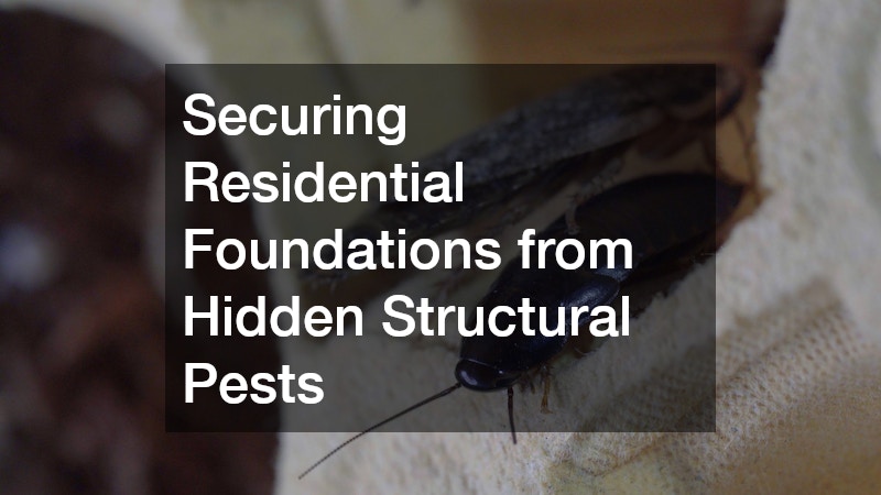 Securing Residential Foundations from Hidden Structural Pests