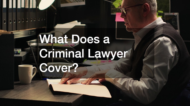 What Does a Criminal Lawyer Cover?
