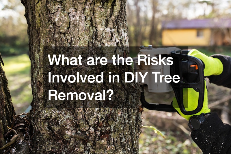 What are the Risks Involved in DIY Tree Removal?