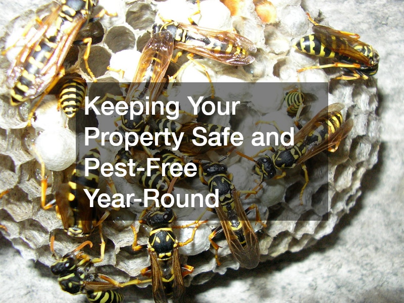 Keeping Your Property Safe and Pest-Free Year-Round
