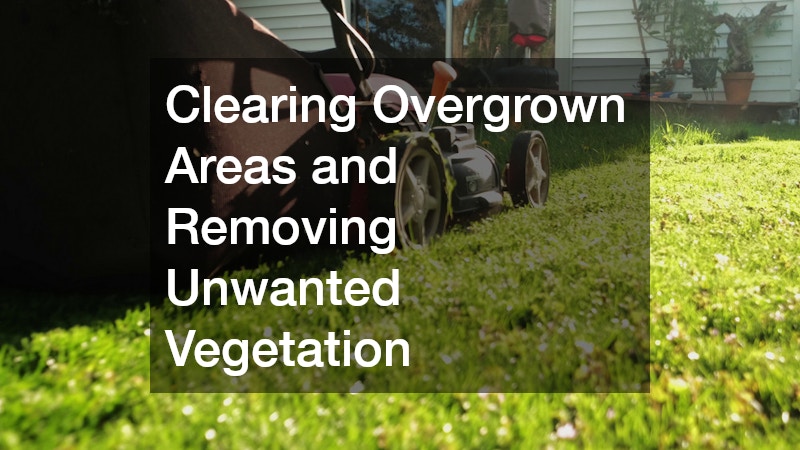 Clearing Overgrown Areas and Removing Unwanted Vegetation