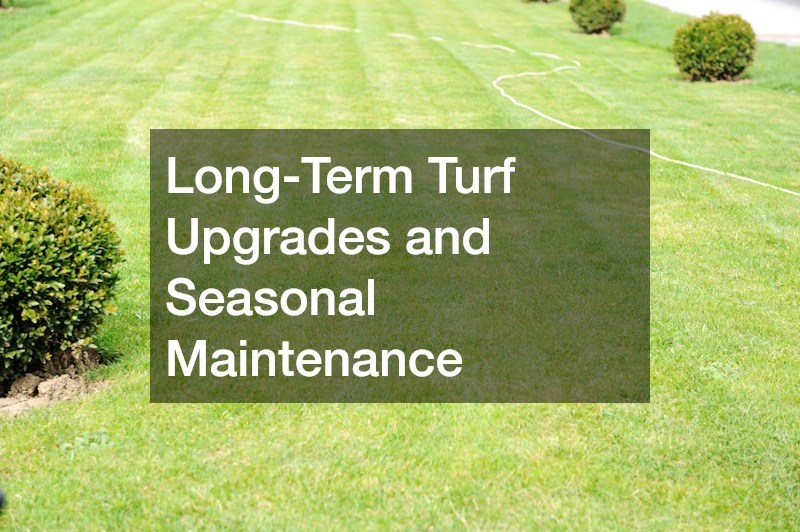 Long-Term Turf Upgrades and Seasonal Maintenance