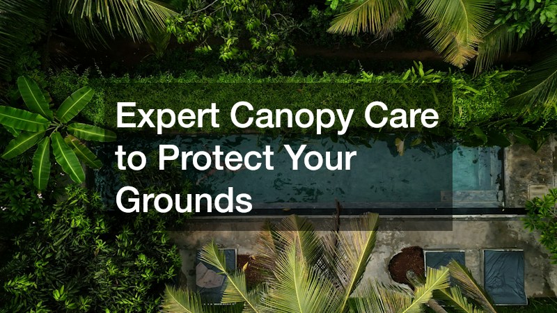 Expert Canopy Care to Protect Your Grounds