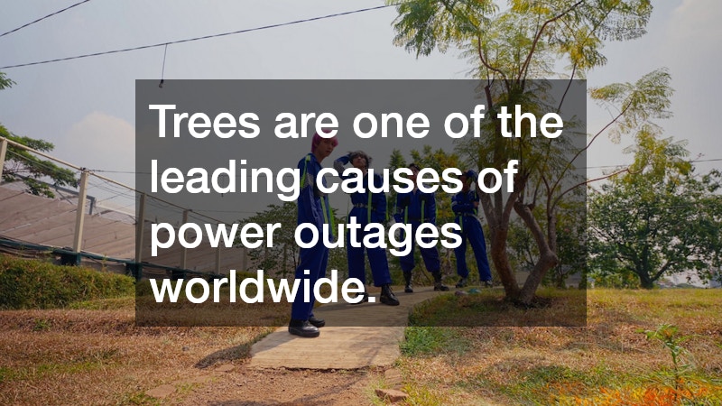 Trees are one of the leading causes of power outages worldwide.