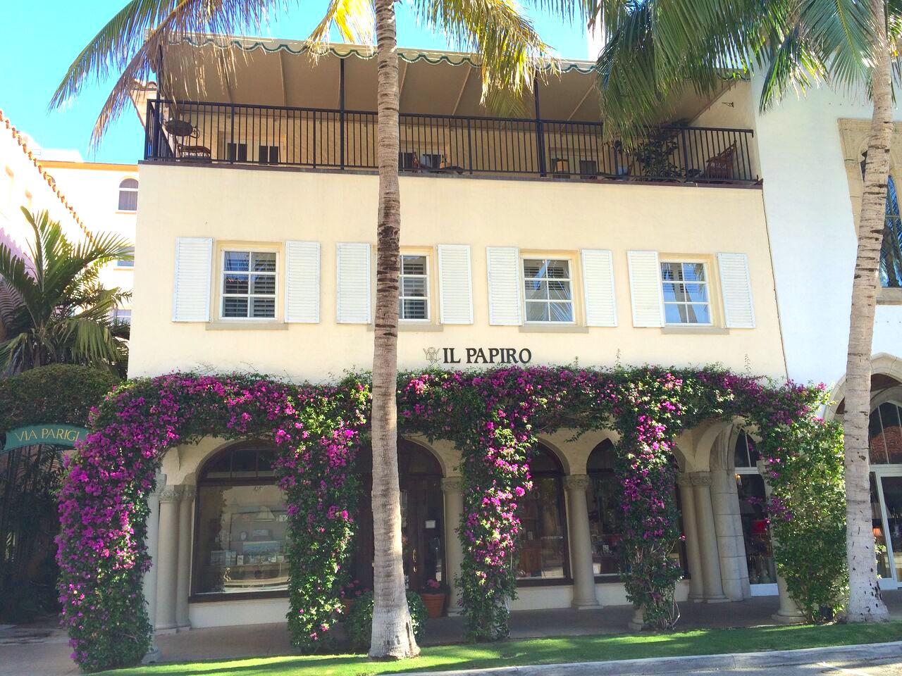 Raptis Rare Books Palm Beach Carp