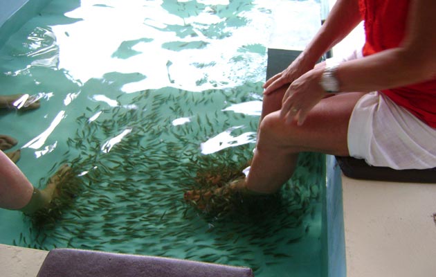 Fish massage
