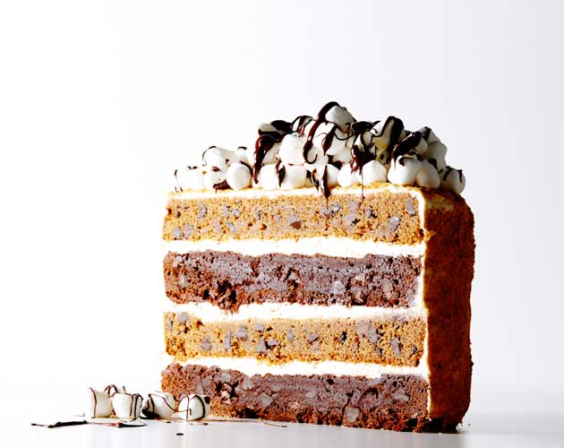 The Ultimate S'mores Layer Cake Recipe