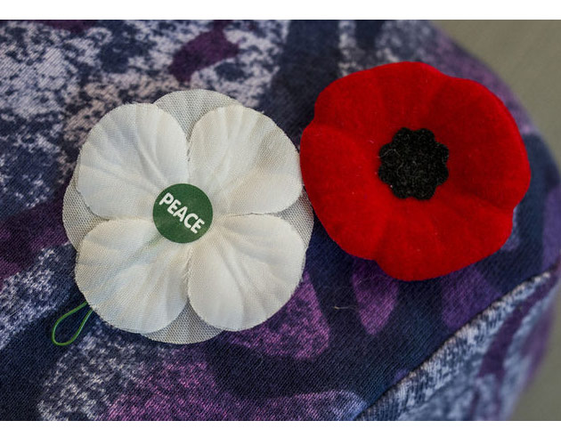 White and Red Poppies