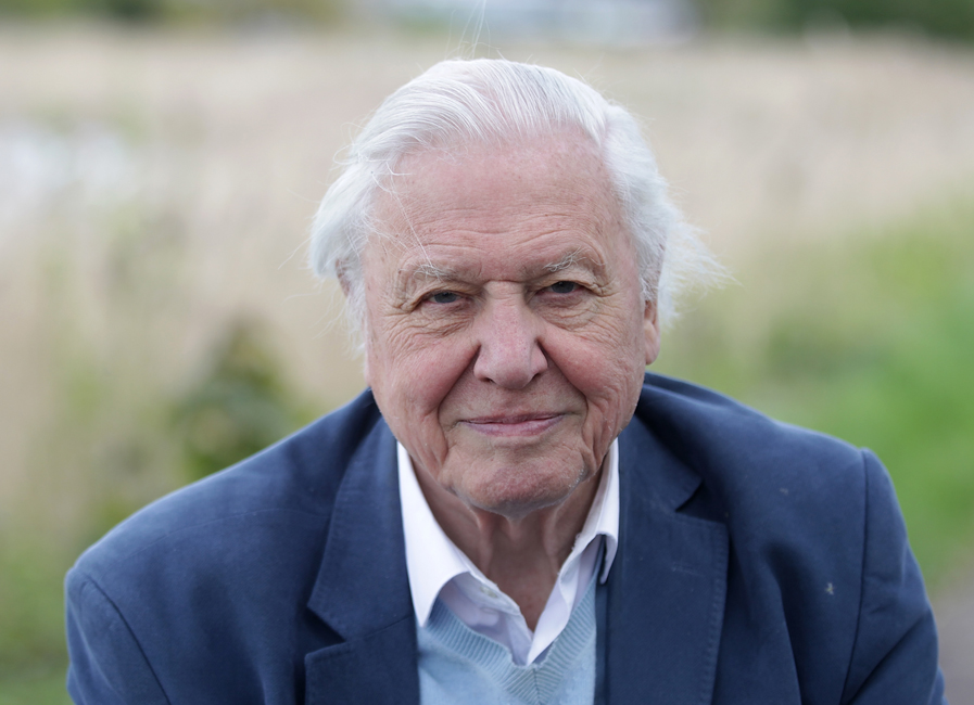 David Attenborough