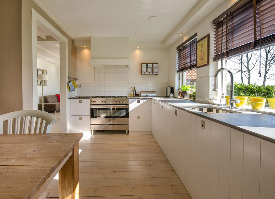 Spring Clean How To Keep Your Kitchen Bacteria Free