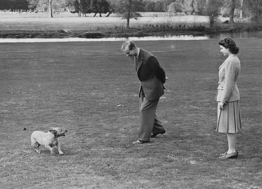 Queen Elizabeth Mourns Death of Her Last Remaining Corgi - Everything