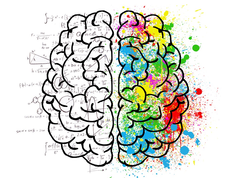 An illustration of a brain split into left and right with equations written all over the left side and splotches of colour on the right.