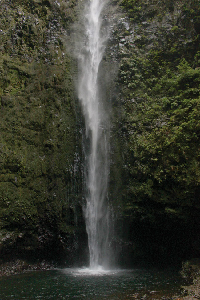 One of the hidden waterfalls on the trails.