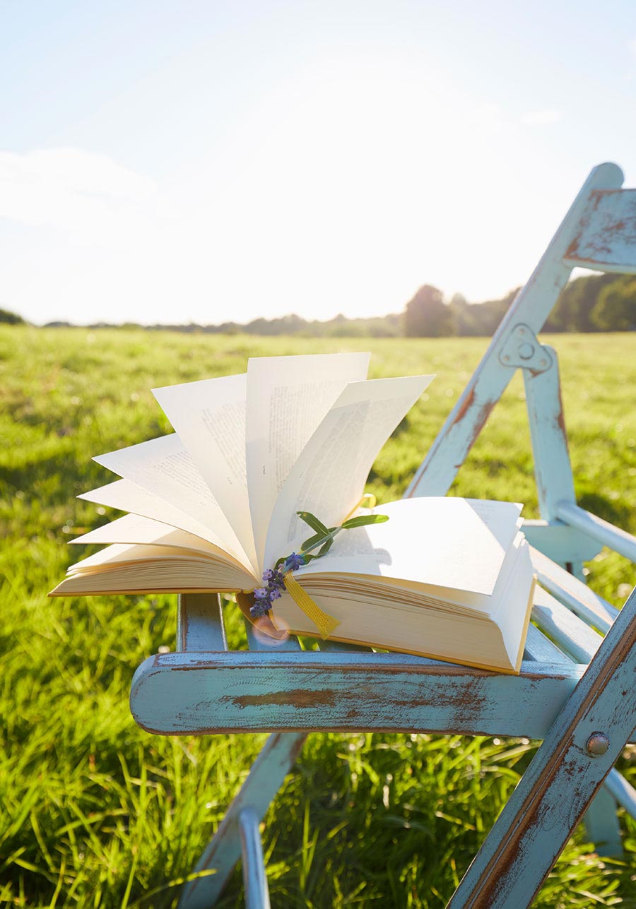 An open book on an antique chair set in a field.